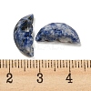 Natural Blue Spot Jasper Butterfly Wing Cabochons G-D078-02C-3