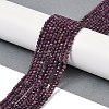 Natural Ruby Beads Strands G-I379-A01-01-1