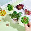 PVC Artificial Succulent Plant AJEW-SP0004-35B-4