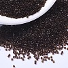 MIYUKI Delica Beads SEED-X0054-DB1393-1