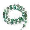 Natural Green Aventurine Beads Strands G-Z014-04-2