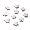 Tarnish Resistant 304 Stainless Steel Charms STAS-F271-15P-1