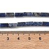 Natural Sodalite Beads Strands G-B091-A24-01-3