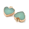 Resin with Golden Zinc Alloy Charms RESI-CJC0009-04D-2