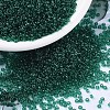 MIYUKI Round Rocailles Beads SEED-JP0008-RR0147-1