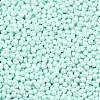6/0 Glass Seed Beads SEED-L011-08A-14-3