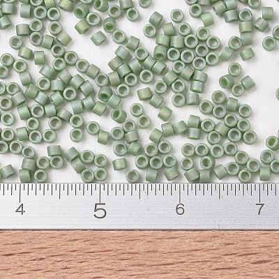 MIYUKI Delica Beads X-SEED-J020-DB2310-1