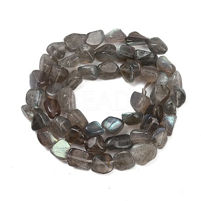 Natural Labradorite Beads Strands G-Q060-E20-01-1