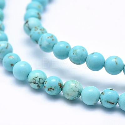 Natural Magnesite Beads Strands TURQ-G148-07-6mm-1