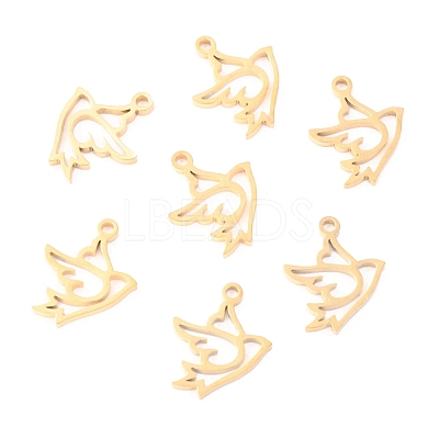 304 Stainless Steel Charms STAS-O142-19G-1