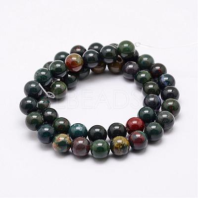 Natural Indian Bloodstone Beads Strands G-P257-07-8mm-1