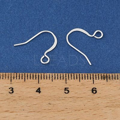Brass Earring Hooks KK-H258-06G-S-1