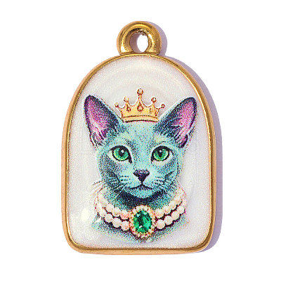 Printed 304 Stainless Steel with Enamel Pendants SA-OY002-64G-1