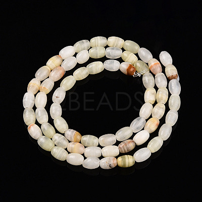 Natural Green Banded Calcite(Afghan Jade) Beads Strands G-N346-02A-12-1