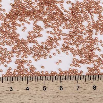 MIYUKI Round Rocailles Beads X-SEED-G009-RR0553-1