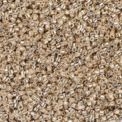 MIYUKI Delica Beads X-SEED-J020-DB0433-1