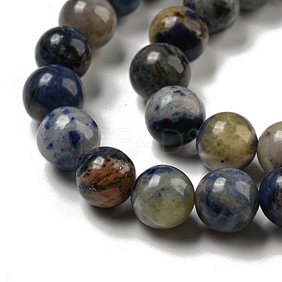 Natural Sodalite Beads Strands G-F591-13-1