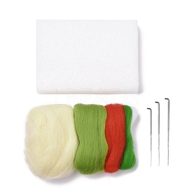 Watermelon Needle Felting Kit DIY-I091-01-1