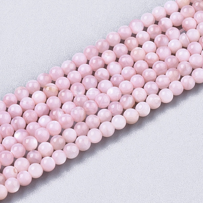Natural Freshwater Shell Beads Strands BSHE-T009-01D-1