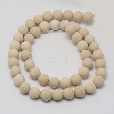 Natural Fossil Beads Strands X-G-D694-8mm-1