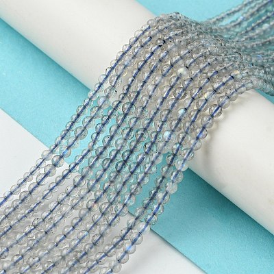 Natural Labradorite Beads Strands G-Z034-B04-02-1