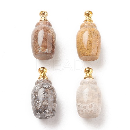 Natural Fossil Coral Pendants G-H200-02G-1