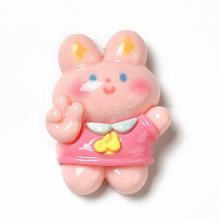 Cartoon Opaque Resin Cabochons LS-RESI-C030-02D-1