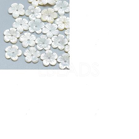 Natural Shell Beads SHEL-CJ0001-12-1