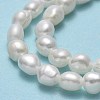 Natural Cultured Freshwater Pearl Beads Strands PEAR-A005-12-01-4