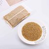 Glass Bugle Beads SEED-S032-08A-22B-2