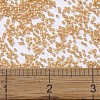 MIYUKI Delica Beads X-SEED-J020-DB2171-4