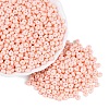 Opaque Glass Seed Beads SEED-N012-09A-09-1