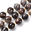Natural Petrified Wood Beads Strands G-C249-A24-16MM-2