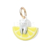 Animal Theme Brass Enamel Pendants KK-CBAE20A-02A-G-1