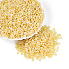 8/0 Glass Seed Beads X1-SEED-A011-3mm-142-4