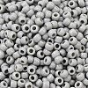 TOHO 6/0 Round Beads X-SEED-TR06-0053-3