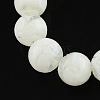 Handmade Lampwork Beads LAMP-R111-10-1