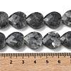 Natural Larvikite Beads Strands G-A309-A18-01-4