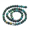 Natural Chrysocolla Beads Strands G-F715-026-2