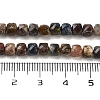 Natural Pietersite Beads Strands G-H042-A10-02-5