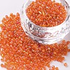 12/0 Glass Seed Beads X1-SEED-A007-2mm-169B-1
