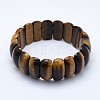 Natural Tiger Eye Beads Stretch Bracelets BJEW-I265-B03-2