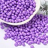 6/0 Opaque Baking Paint Glass Seed Beads X1-SEED-M012-02A-11-1