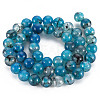 Natural Dragon Veins Agate Beads Strands G-Q948-81C-8mm-2