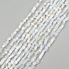 Chip Opalite Beads Strands X-G-N0134-15-4