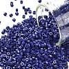 Cylinder Seed Beads X-SEED-H001-H06-1