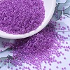 MIYUKI Round Rocailles Beads X-SEED-G007-RR2202-1