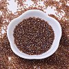 MIYUKI Delica Beads Small SEED-X0054-DBS0170-2