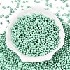 Glass Seed Beads SEED-T007-01M-1