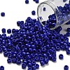 TOHO 6/0 Round Beads SEED-XTR06-0048-1
